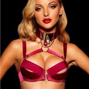 Honey Birdette Chastity Fuchsia Lock & Key Bra 36H NWT Super Rare, Sold Out